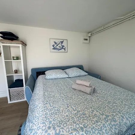 Majorelle Near Eurexpo - Lyon - Hospitals Apartamento *